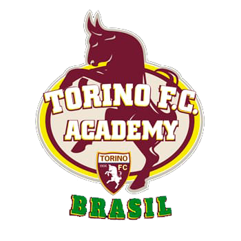 Torino Academy Brasil